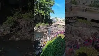Cleaning up the dirty canal in our area #saigonxanh #cleaning #pollution #satisfying #shorts