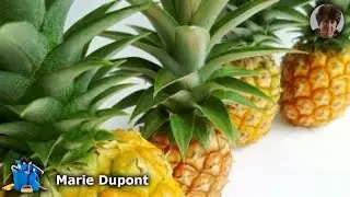 Les Meilleures Astuces pour Conserver l'Ananas &agrave; la Maison et &Eacute;viter le Gaspillage