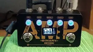 Hotone Binary Amp - RECT LEAD (Mesa/Boogie Dual Rectifier)