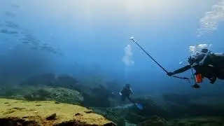 ウミガメに逢える海「南紀串本」／大阪 ダイビングスクールサンズ天王寺 #scubadiving #underwater #gopro 