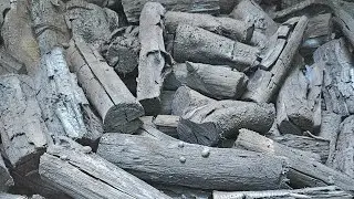 Myrtle Wood Charcoal Making Experience