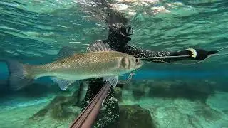 Spearfishing Croatia - Okti Mali Lo&scaron;inj