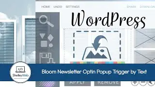 Bloom Newsletter Optin Popup Trigger by Text