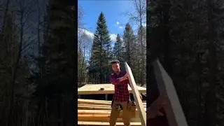 building a double A-frame mini houses with my Jaguar logo :) #camping #building #wood
