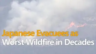 Japanese evacuees fret as worst wildfire in decades burns