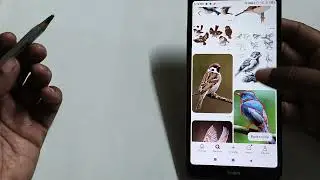 Sketching | How to practice l improve your art skill l different types of birds movement 