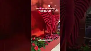 @macys flower show returns to Herald Square April 27 - May 11! The 50th edition of the annual