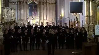 Mater Maria Dolorosa - Fusion Ensemble