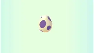 Pok&eacute;mon Egg Hatch Compilation