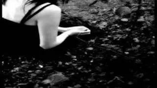 Evanescense-hello