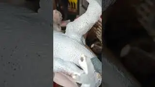 Always Check the Dates on Your Toys Before Selling Them!