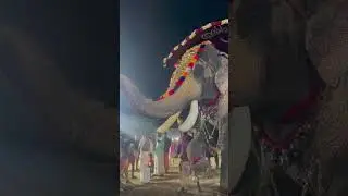 Mangalamkunnu Ayyappan in amballur 28 Uchaal mahotsavam