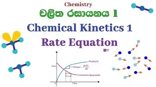 Chemical Kinetics - Rate Equation | චලිත රසායනය 1