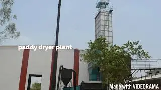 Paddy dryer plant / machines /design/layout