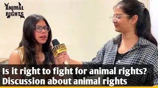 Is it right to fight for animal rights? Discussion about&nbsp;animal&nbsp;rights | Sharda University Students