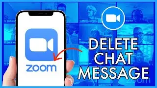 How to Delete Chat Messages on Zoom Meetings 2023?