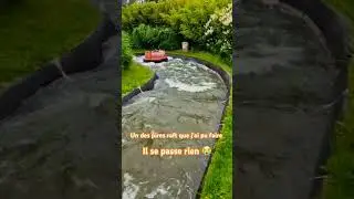Walibi H. devrait prendre exemple sur Radja River 💦 #themepark #amusementpark #shorts #rafting #raft