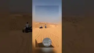 Ultimate Desert Adventure: Al Badayer Escapades!