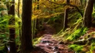 The Garden of Zephirus by Dead Can Dance