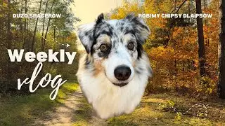 VLOG | Spacery, chipsy dla ps&oacute;w, piękna jesień