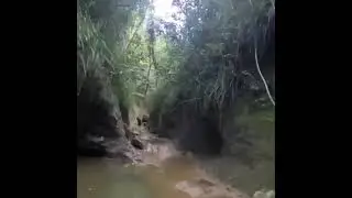 Hiking in rivers of Puerto Rico