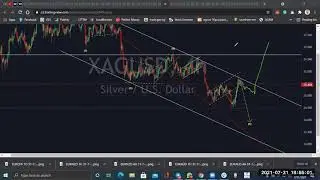Elliott Wave analysis on EUR, GBP NZD, CHF, AUD, JPY CAD, Part 2