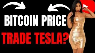 Bitcoin Price - Should I Trade Tesla ? - Crypto News - Regal Assets Company Insight
