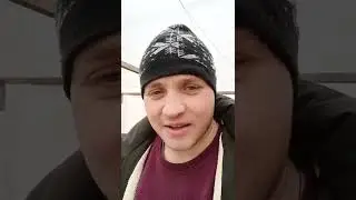 zi placuta