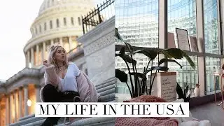 LIFE UPDATE | WHY I MOVED & STAYING IN THE US  | DC Diaries #8