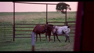 Ary Land Co. | Breathtaking 445+/- Acre Turn Key Ranch in Oklahoma listed by Drew Ary, ALC