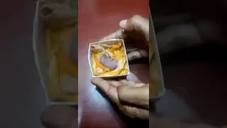 Baby Rat Rescue 🐁 #shorts #subscribe #village #trending #viral #ramdarshan #animalover