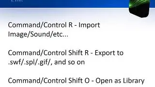 Adobe Flash keyboard shortcuts