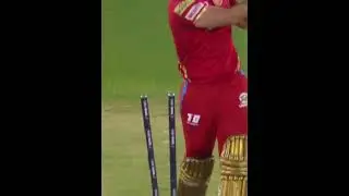 Navdeep Saini🔥bowled🔥to Liam livingstone#shortvideo #viral #yt #ytshorts #shorts #short #pbks #rr