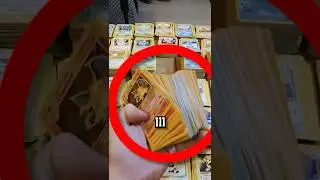 Encontr&oacute; 111 Charizards En Su Colecci&oacute;n Antigua 😳💰