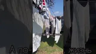 Real vanlife