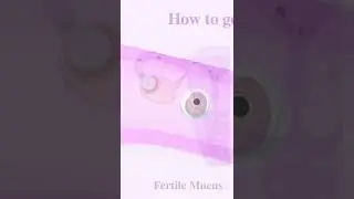 Most fertile days to get pregnant