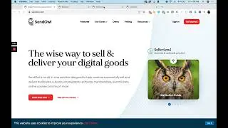 SendOwl Review: The Most Slept On Platform for Selling Digital Products