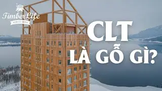 CLT L&Agrave; G&Igrave;? | GỖ SỒI XẺ SẤY | GỖ SỒI MỸ | TIMBER LIFE