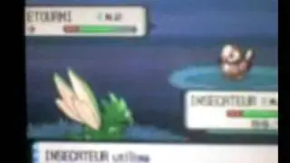 Capture d'Etourmi