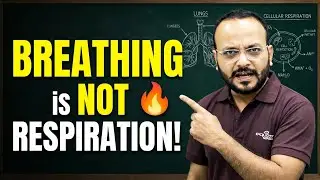 Breathing vs Respiration 🔥 | Class 10 Biology EXPLAINED CLEARLY | Karan Sir