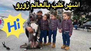 زورو المشهور صار عندو كتير اصحاب 😻