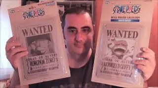 METAL WANTED POSTER di ONE PIECE! LUFFY GEAR 5 E ZORO