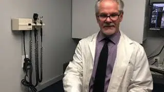 Microchip Identification for Dogs and Cats by Croton Animal Hospital