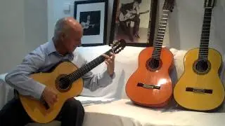 nany guitarra buleria