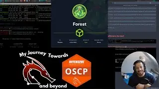 Hacking Forest [HackTheBox Walkthrough]