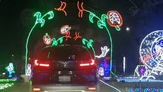 Halloween Light Show