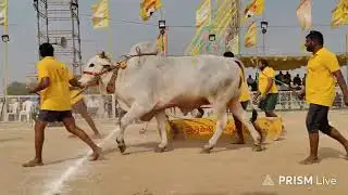 చిలకలూరిపేట టౌన్||న్యూ క్యాటగిరి విభాగం 14వ జత దొప్పులపూడి వినోద్ కుమార్ చౌదరి గారు యాదవ్ గారు💥💥