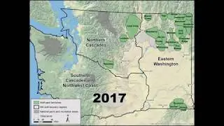 Wolf Packs in Washington 2011 2018