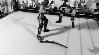 Payback '17 Promo- WWE Figures