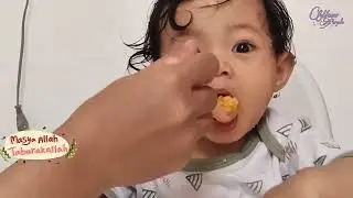 Tips & Trik mpasi bayi makan lahap tanpa drama